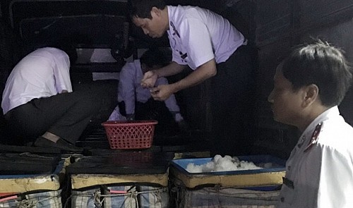 Police confiscate ‘injected’ prawns in southern Vietnam